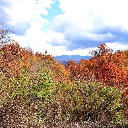 Burnin' Love Gatlinburg Ngoại thất bức ảnh