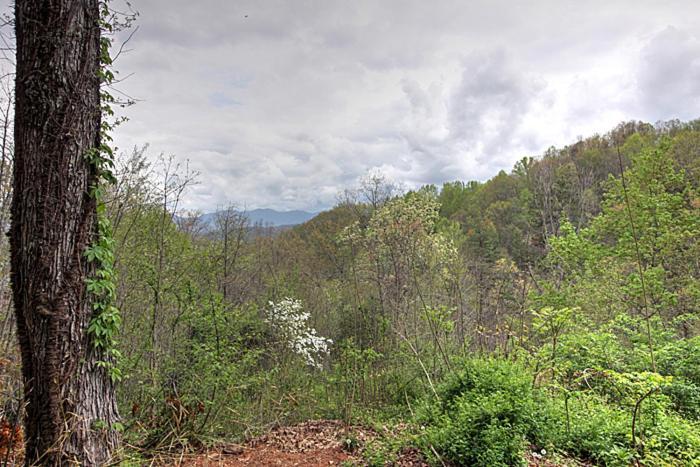 Burnin' Love Gatlinburg Ngoại thất bức ảnh